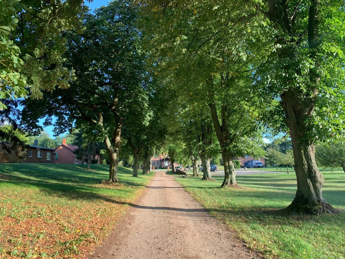 Gut Settin Am See - Ferienhaeuser Villa Exteriör bild