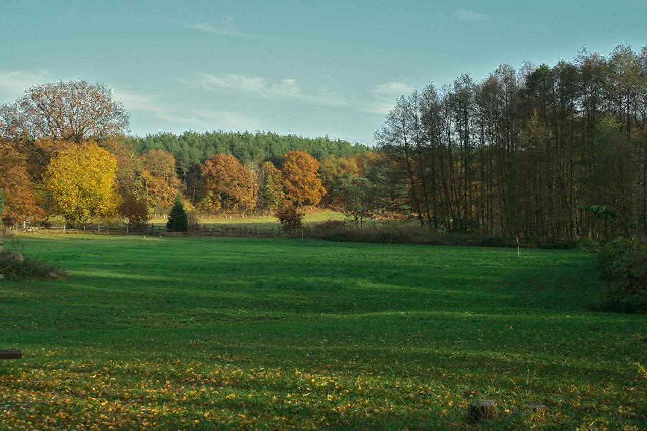 Gut Settin Am See - Ferienhaeuser Villa Exteriör bild