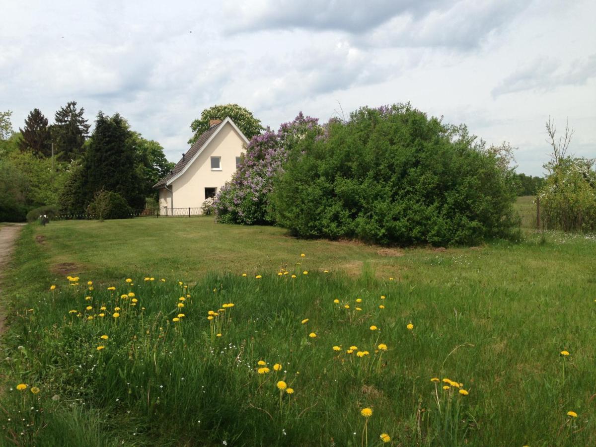 Gut Settin Am See - Ferienhaeuser Villa Exteriör bild